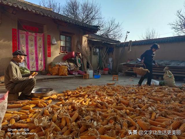 有人说快手,抖音近年来造就了很多的网红,你怎么看待这个问题？