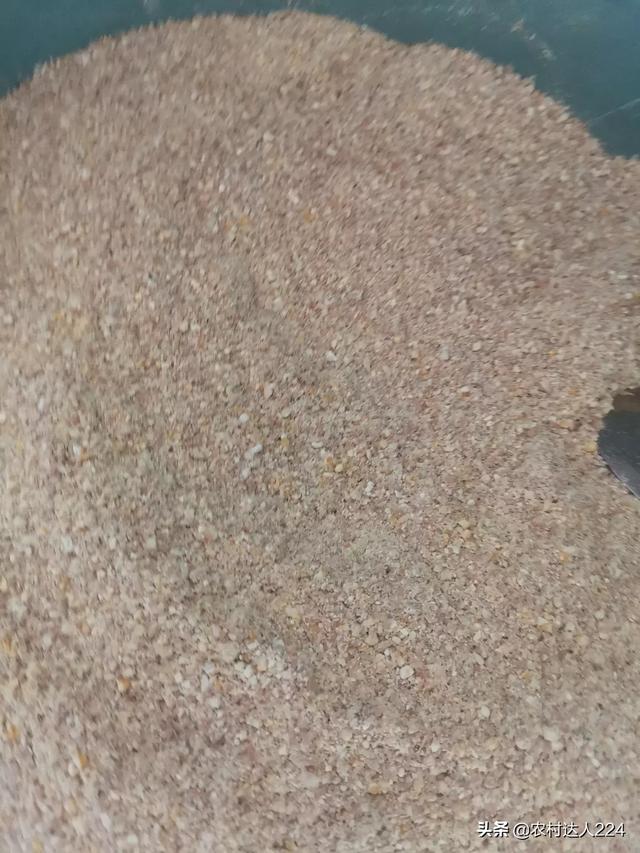 浓缩料不加别的喂猪可以吗？