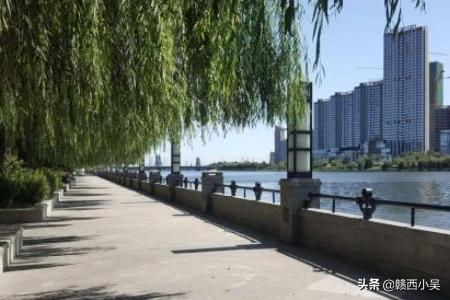通州大运河森林公园南门停车场:北京市区有哪些绿化比较好、有大面积水域的免费公园？