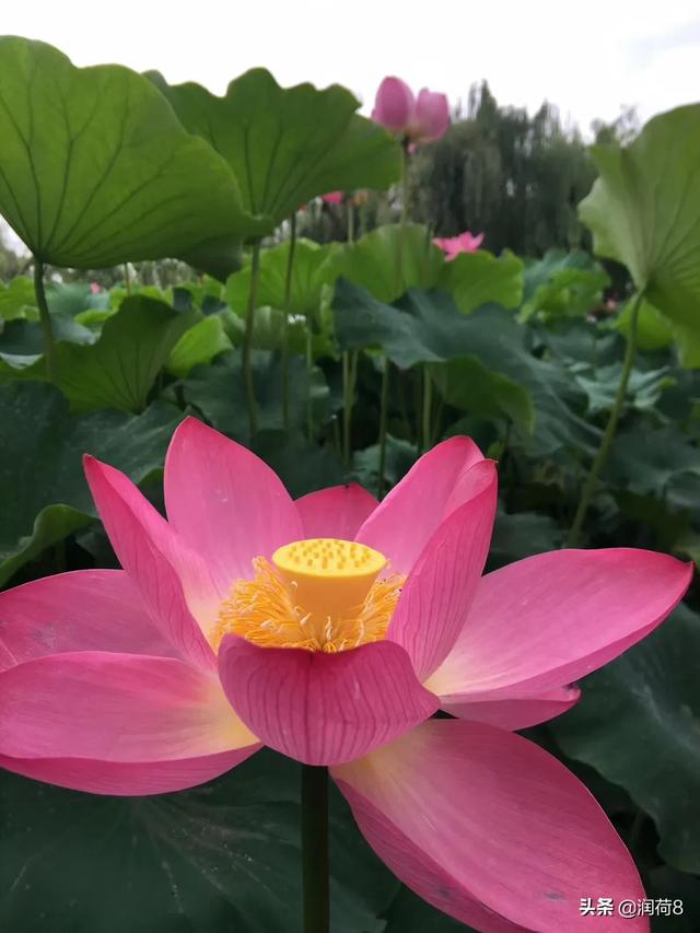 昆明有啥好玩的？