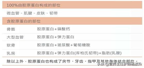 含胶原蛋白的食物,吃什么能够补充胶原蛋白？