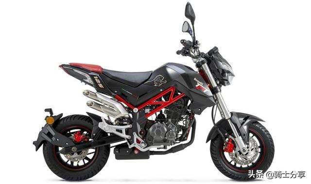 我想请问一下宝雕小暴龙和贝纳利小暴龙如何区分