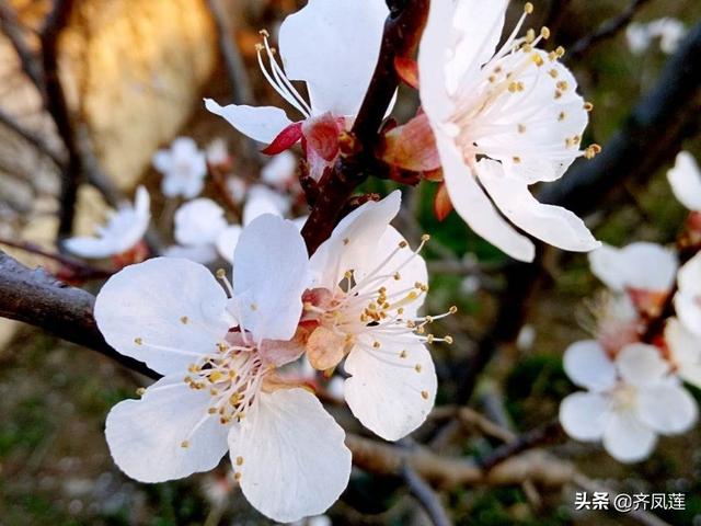 生活给了你什么样的礼物?-百科网