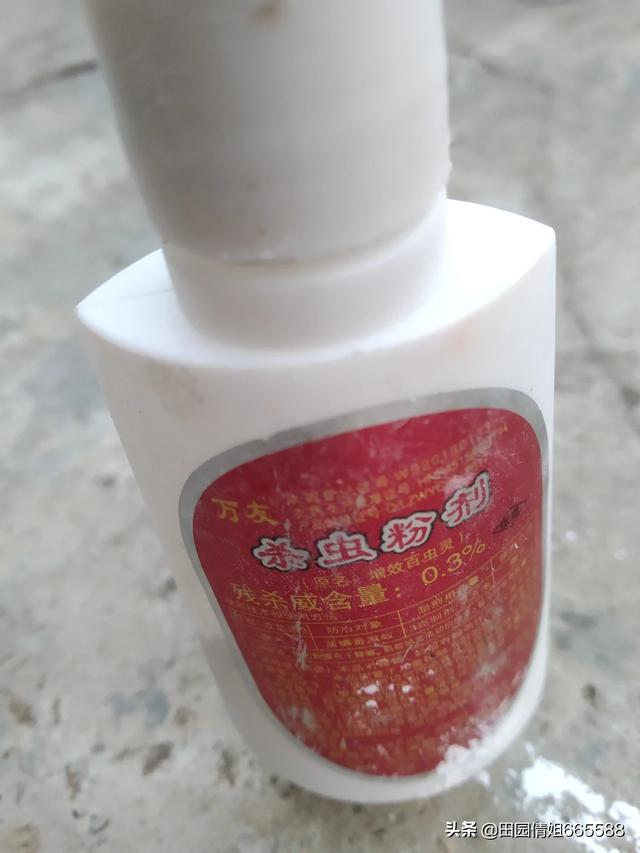 家里有蚂蚁,家里有好多蚂蚁是怎么回事啊？