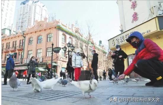 哈尔滨美国回来的韩某到底是何许人也？让哈尔滨疫情雪上加霜？