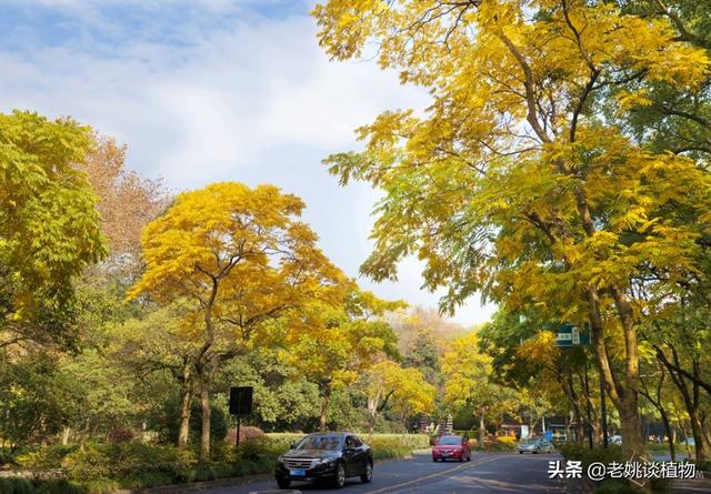 辉县东耿村灵异事件:你最记忆犹新的家乡土特产是什么？