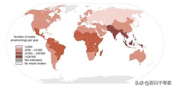 济南泺口大蛇事件:全国最容易被蛇咬伤的城市是哪些？