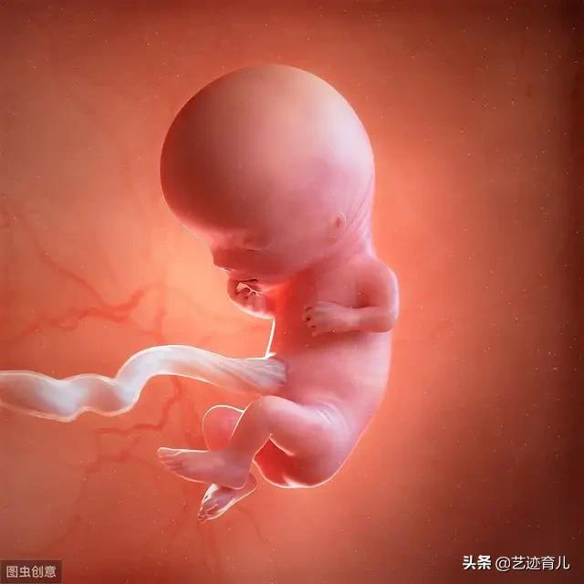 胎儿在母亲宫内会生病吗？
