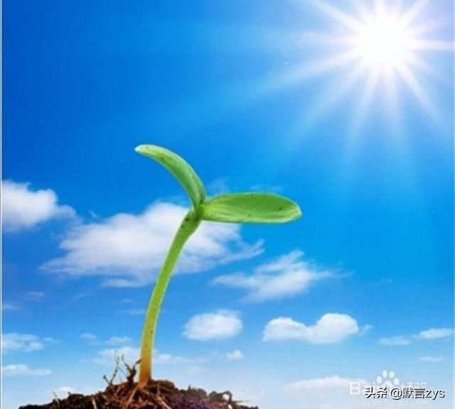 费斯汀格法则:对唐山一收费站取谛，员工反对称只会收费，不会干别的，你怎么看