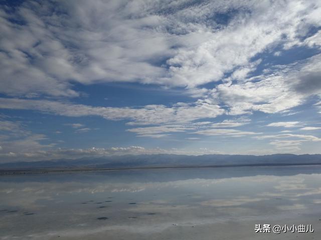 张信哲个人资料:有哪些初听不识曲中意再问已是曲中人的作品