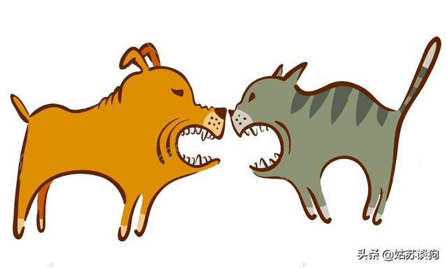 猫狗大战小游戏:为什么猫和狗打架，狗总是打不过猫呢？