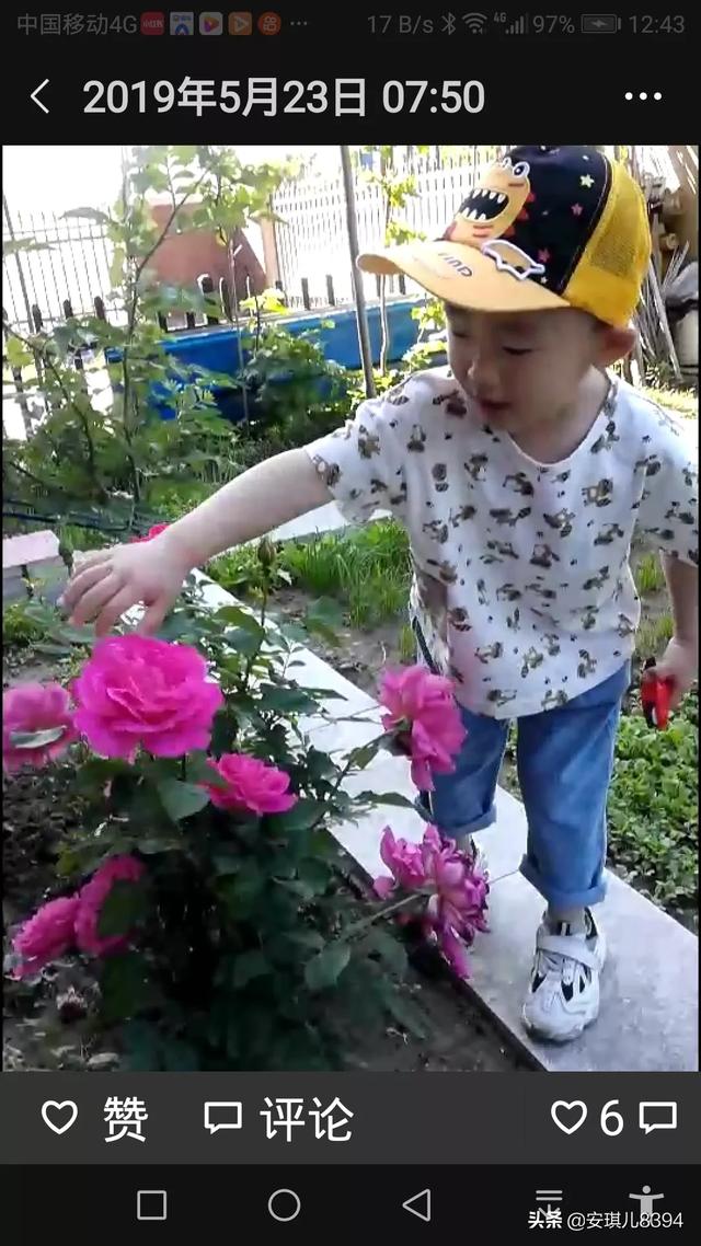 为什么有钱人都住一楼,为什么住一楼的都说一楼最不好？