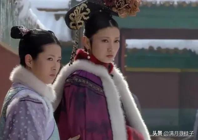 后宫甄嬛传剧照:温实初身子被废后，甄嬛为何重用卫临