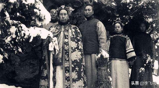 西帕凯犬多少钱一只:明明连日本都打不过的大清，为何愚蠢的向八国联军宣战？