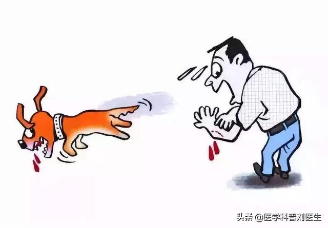 狂犬病发作视频:狂犬病究竟有多可怕，真的是发病必死么？