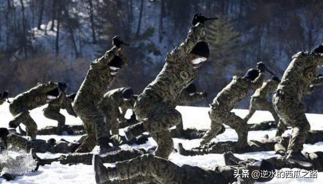 播求和菜良辰的对打视频:特种兵与拳击手无限制格斗，结果会怎样？