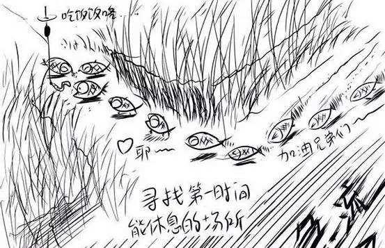 灰头鹀窝图片:为什么感觉谷麦钓鱼能坚持下来的没几个人？