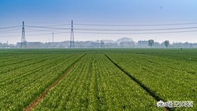 头条问答 刚复垦用地下黄土填地怎样种小麦高产 8个回答