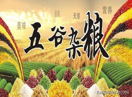 五谷丰登中的“五谷”指什么？