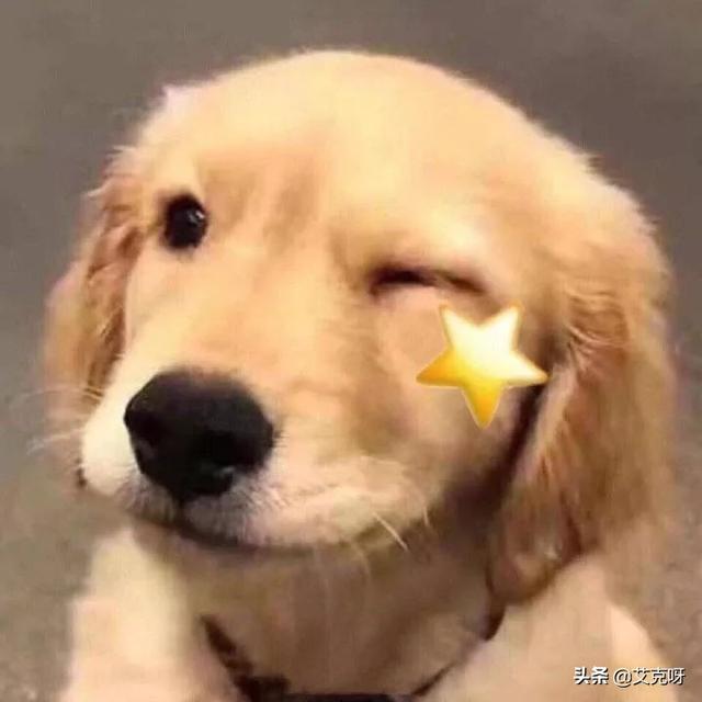 抖音哪首歌最流行？