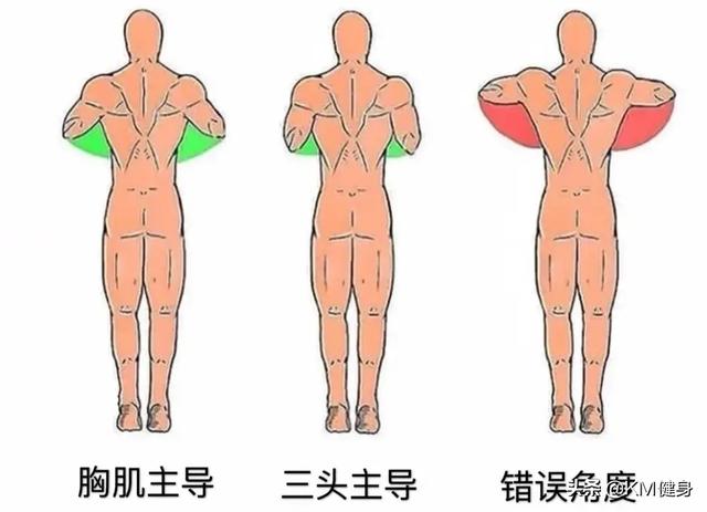 俯卧撑锻炼哪些肌肉,每天做俯卧撑，哪里会长肌肉？