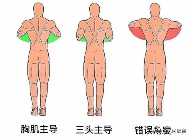 俯卧撑锻炼哪些肌肉,每天做俯卧撑，哪里会长肌肉？