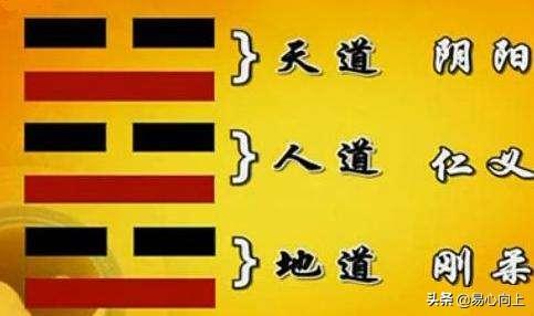 生辰八字 易卜居,在读易经之前，应该先读哪些书？