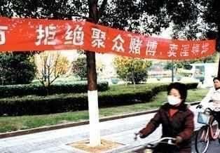 杨钰莹红楼醉高官:50岁杨钰莹为何至今单身？