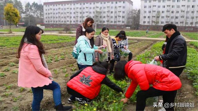 大学生创业新闻，大学生自主创业能不能成功呢