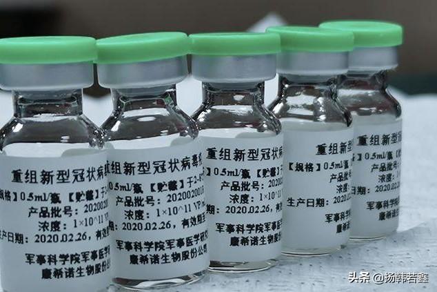 解码陈文茜:为什么蔡英文拒绝大陆的安全疫苗，力推台湾自产疫苗呢？