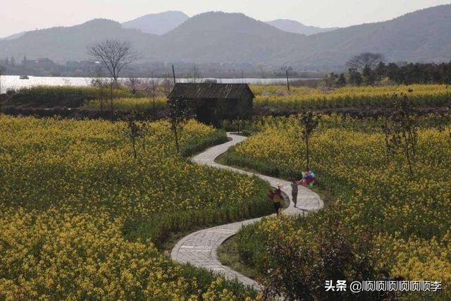 弯弯的公路像什么比喻句？(弯弯曲曲的意思)