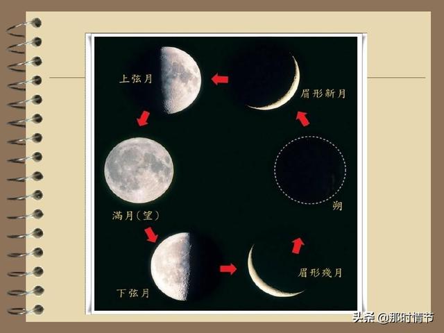 鼠图片:十二生肖是我们农历年的，为什么阳历新年会出现鼠的图片和文字