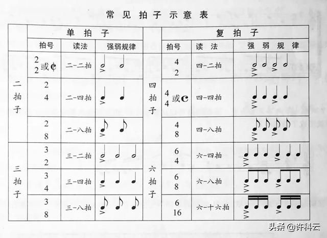 头条问答 怎么计算音乐的节拍 各节拍时间大概是多久 10个回答