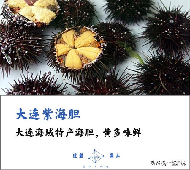 龙趸王:中国四个海哪个海里的海鲜好吃，为什么