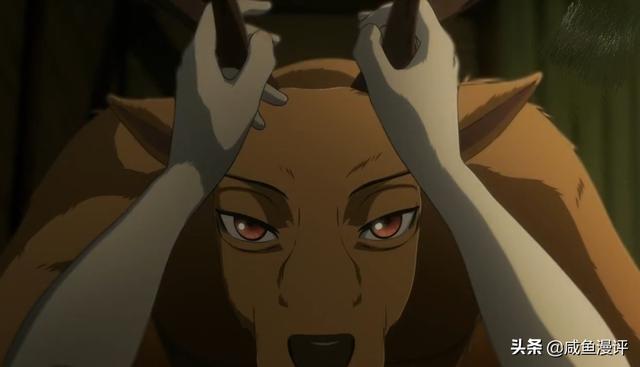 怎么看待《BEASTARS》中路易和春的关系？