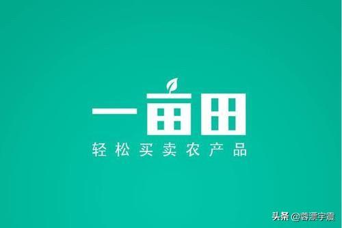 哪个平台农产品卖货卖的比较快(现货农产品平台哪个好)