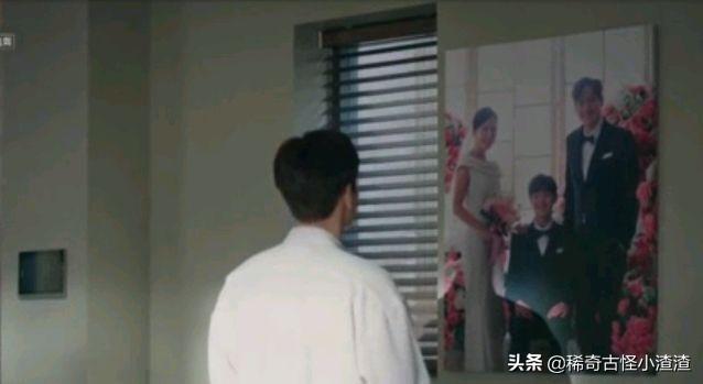 夫妻的世界更新时间:电视剧《夫妻的世界》有哪些槽点