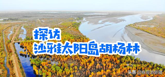 新疆的候鸟有哪些:新疆农业大学 新疆旅游适合什么季节去？五月份适不适合？