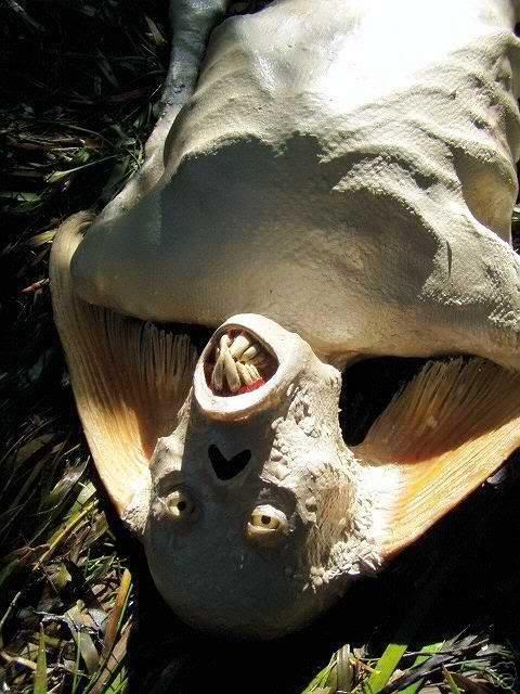 头条问答 - 我曾在世界未解之谜上看过关于某一船