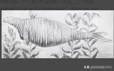史德拉海牛灭绝在哪:10大已灭绝物种：霸王龙、斑驴？