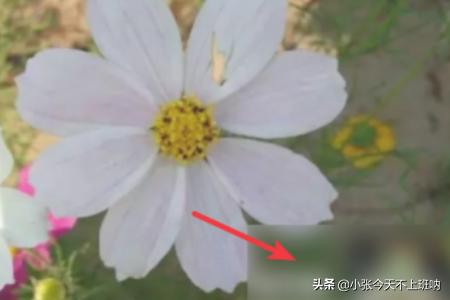 微信<a href=https://maguai.com/list/256-0-0.html target=_blank class=infotextkey><a href=https://maguai.com/list/256-0-0.html target=_blank class=infotextkey>朋友圈</a></a>怎么发动图?:微信怎么发动态图，微信GIF图片怎么不动？
