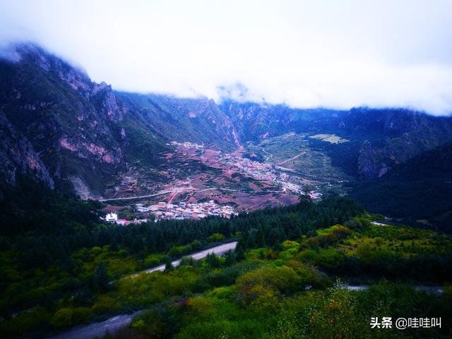 萨路基沙漠追羚羊视频:今年7月适合去哪儿旅游？