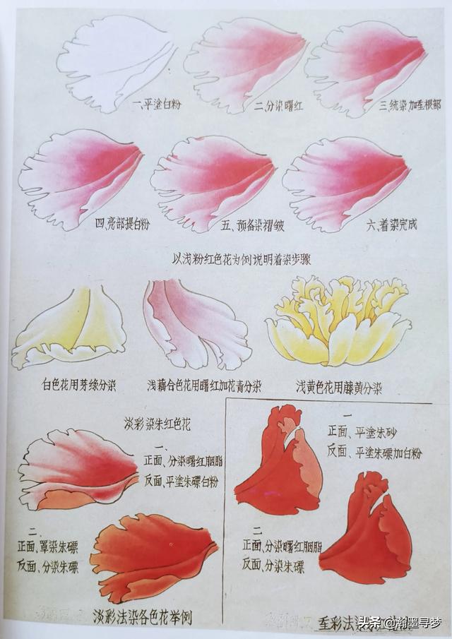 工笔花鸟:国画写意和工笔有什么大的差别？两者可以合用吗？