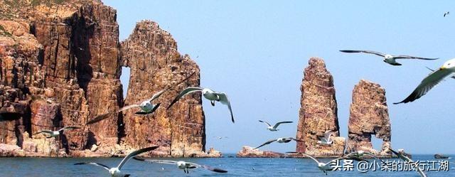 杨子荣简介:如果让你当导游介绍山东，你会介绍什么？