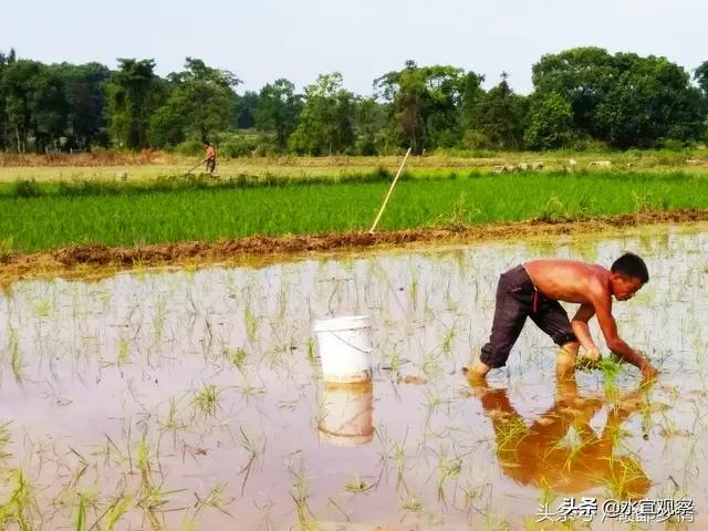 当年交售粮,国家给钱了,现在还可以做为理由,要养老金吗？