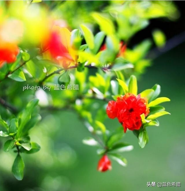 吸人眼球的<a href=https://maguai.com/list/256-0-0.html target=_blank class=infotextkey>朋友圈</a>内容:宣传文案该如何抓住用户眼球？