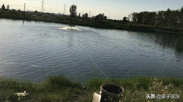 如何看待偷鱼溺亡家属向鱼塘主索赔60万法院判鱼塘主赔5万？:孙某