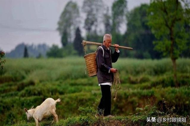 农业人口老龄化严重,对现代农业有何影响吗？
