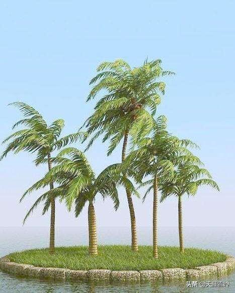 十月三亚旅游:请问10.1适合去海南玩吗？海南那时候还是很热吗？