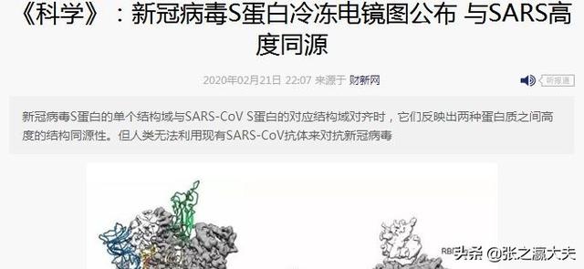 新冠现在是什么病毒:变异新冠病毒是什么意思